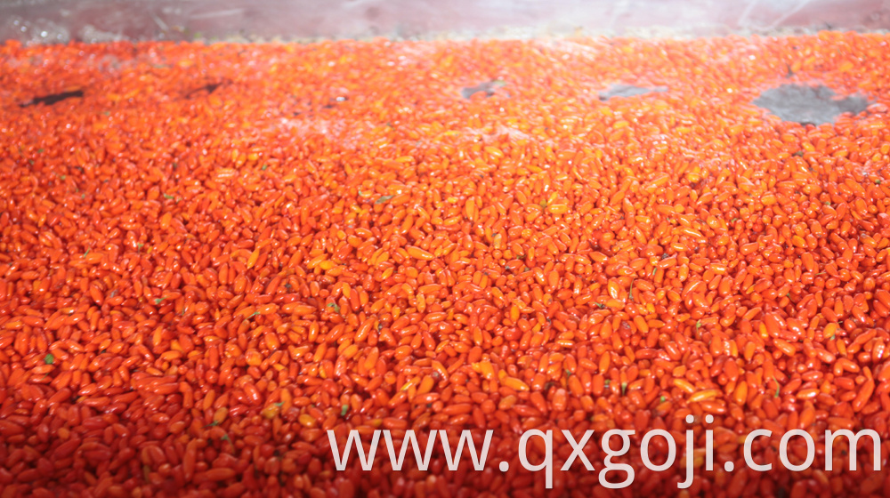 Red Organic Goji Berry